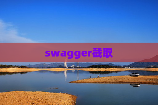 swagger截取